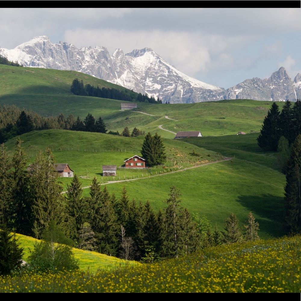 Meet your Posher, Adi